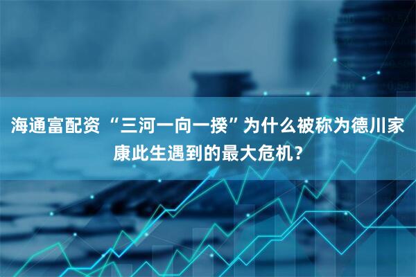 海通富配资 “三河一向一揆”为什么被称为德川家康此生遇到的最大危机？
