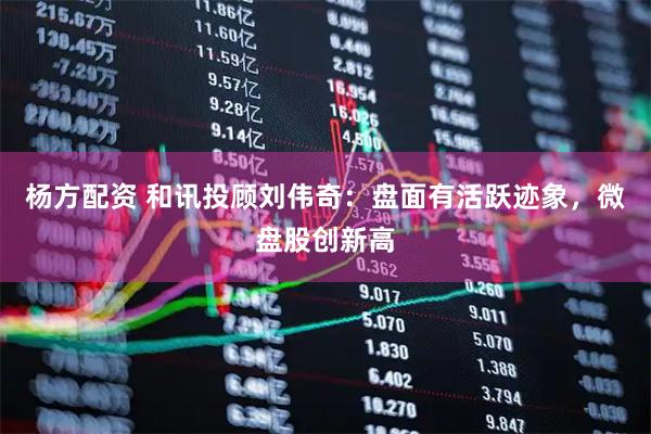杨方配资 和讯投顾刘伟奇：盘面有活跃迹象，微盘股创新高