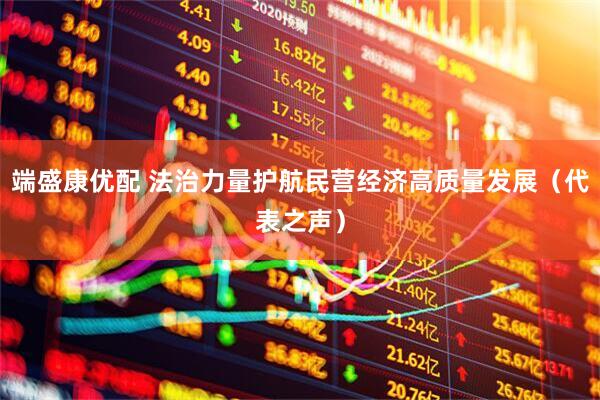 端盛康优配 法治力量护航民营经济高质量发展（代表之声）