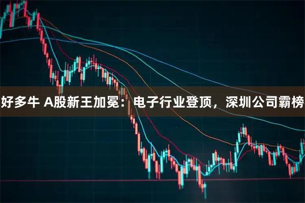 好多牛 A股新王加冕:电子行业登顶,深圳公司霸榜