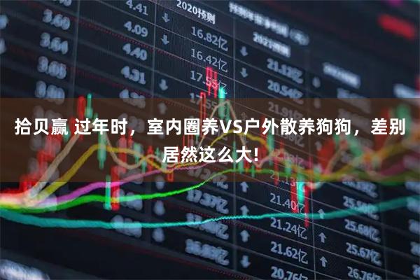 拾贝赢 过年时，室内圈养VS户外散养狗狗，差别居然这么大!