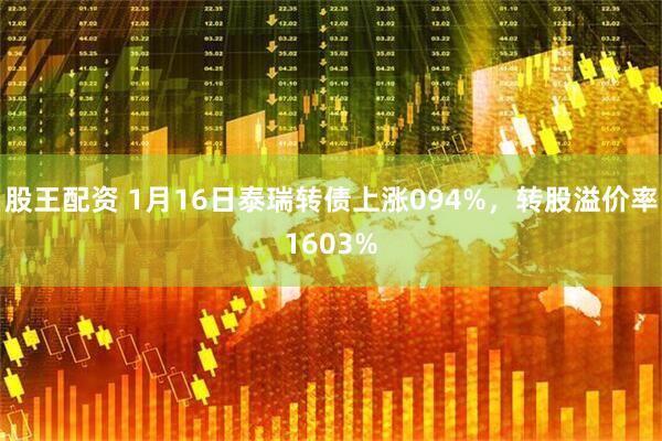 股王配资 1月16日泰瑞转债上涨094%,转股溢价率1603%