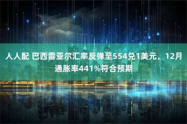 人人配 巴西雷亚尔汇率反弹至554兑1美元，12月通胀率441%符合预期